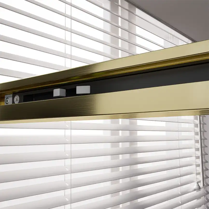 Душевая дверь Veconi Premium Trento PTD-40G 150 см, PTD40-G-150-01-C4, профиль Брашированное золото, стекло Прозрачное фото 6