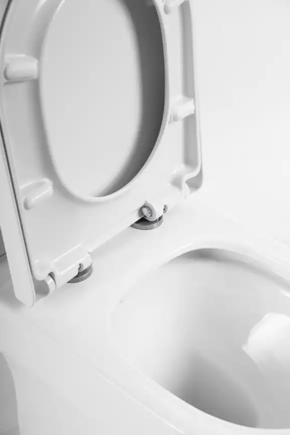 Напольный унитаз BelBagno NORMA BB339CPR, безободковый, Белый фото 5