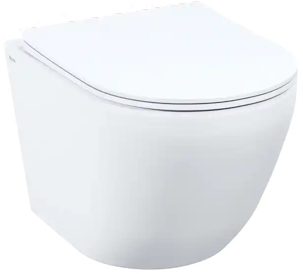 Унитаз подвесной IDDIS Blanco Q BLQNDSEI25 с сиденьем микролифт, безободковый, смыв Торнадо, Белый фото 1