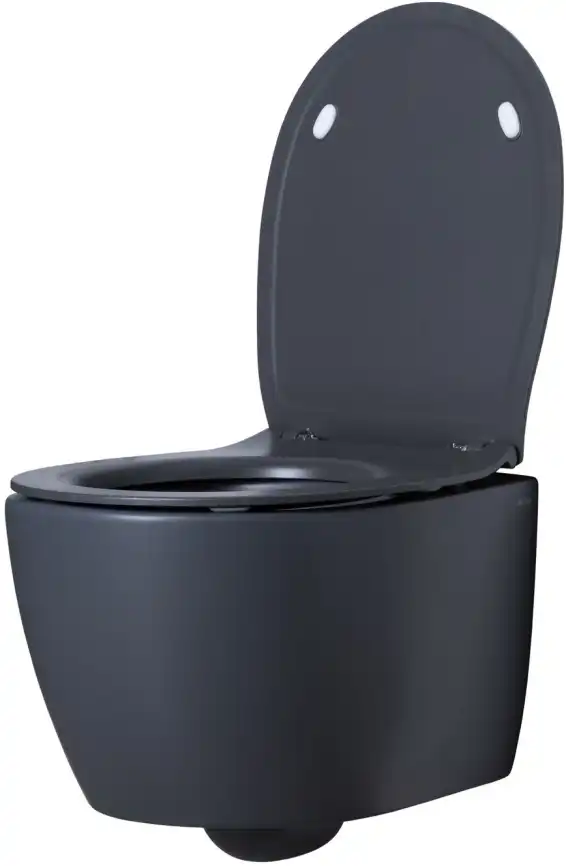 Подвесной безободковый унитаз Allen Brau Fantasy 4.11004.AN без сиденья, антрацит фото 10