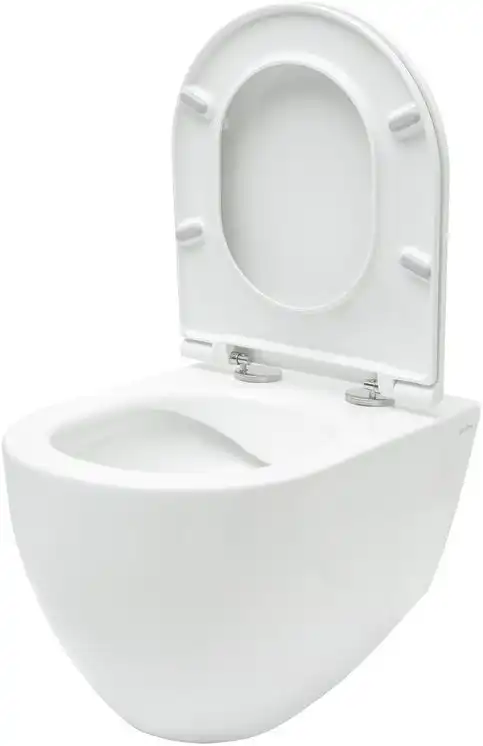 Подвесной безободковый унитаз Allen Brau Reality 4.32006.20 без сиденья, белый глянец фото 4