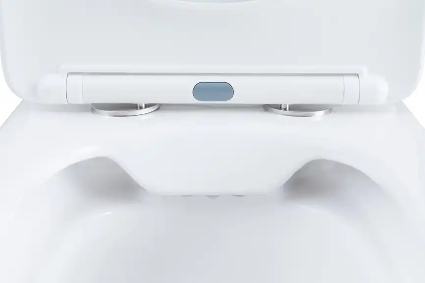 Чаша напольного унитаза Aquanet Fine Rimless FINE-C Soft Close с сиденьем микролифт фото 15