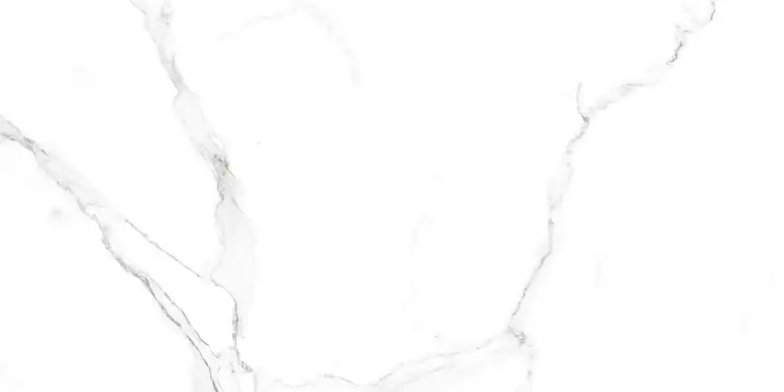 Керамогранит AZARIO SATVARIO 60х120 Glossy (F4110821128G) фото 4