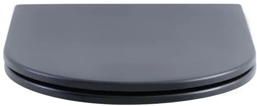 Сиденье для унитаза Aquanet Lake черный матовый фото 6