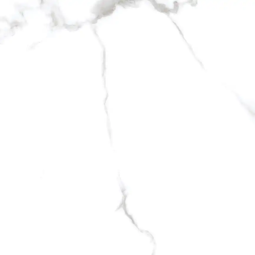 Керамогранит AZARIO DESERT STATUARIO 60x60 Matt (P3211112134M) фото 2