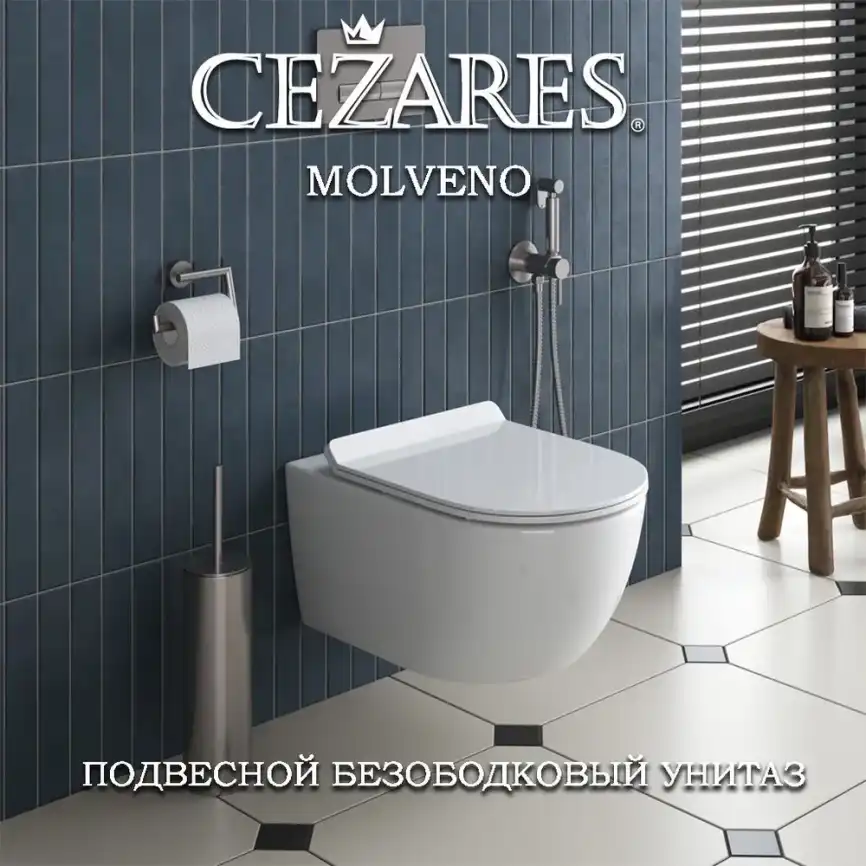 Подвесной унитаз CEZARES MOLVENO CZR-2468-TH-R безободковый, белый фото 3