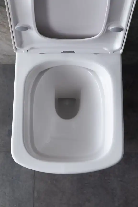 Подвесной безободковый унитаз Allen Brau Liberty 4.33004.20 без сиденья, белый глянец фото 27