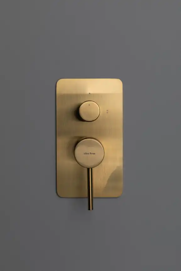 Смеситель для душа Allen Brau Priority 5.31011-GB (с внутренней частью, 2 выхода) золото фото 7