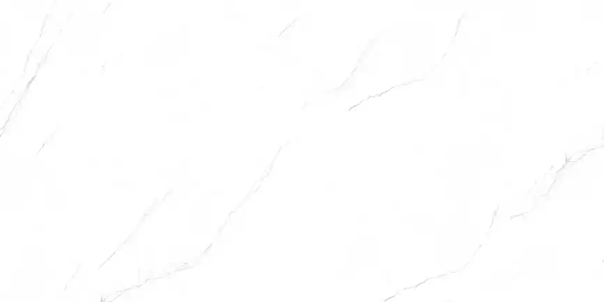 Керамогранит AZARIO VALENCIA WHITE 80х160 Matt (P231123009M) фото 2