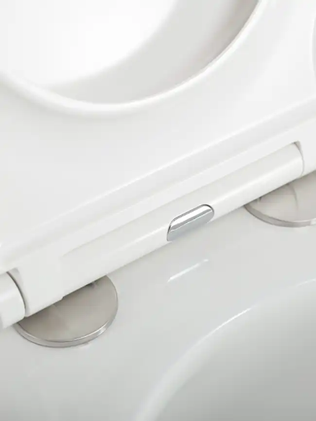 Подвесной унитаз CEZARES GRANDE CZR-308-TH-TOR/SC, со смывом TORNADO, с сиденьем микролифт фото 12