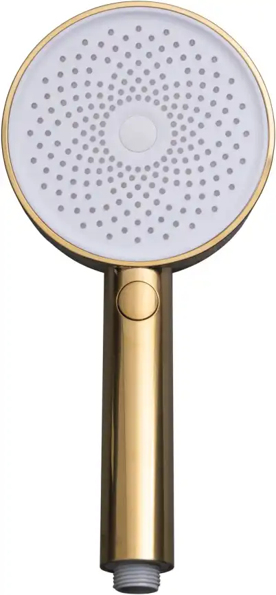 Душевая лейка Allen Brau Priority 5.31B20-GB золото брашированное фото 5