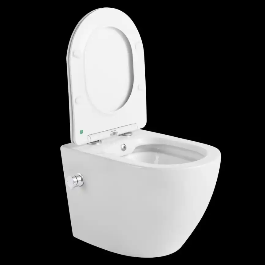 Подвесной унитаз-биде Ceramalux 2196-BD, безободковый с крышкой микролифт, Белый фото 3