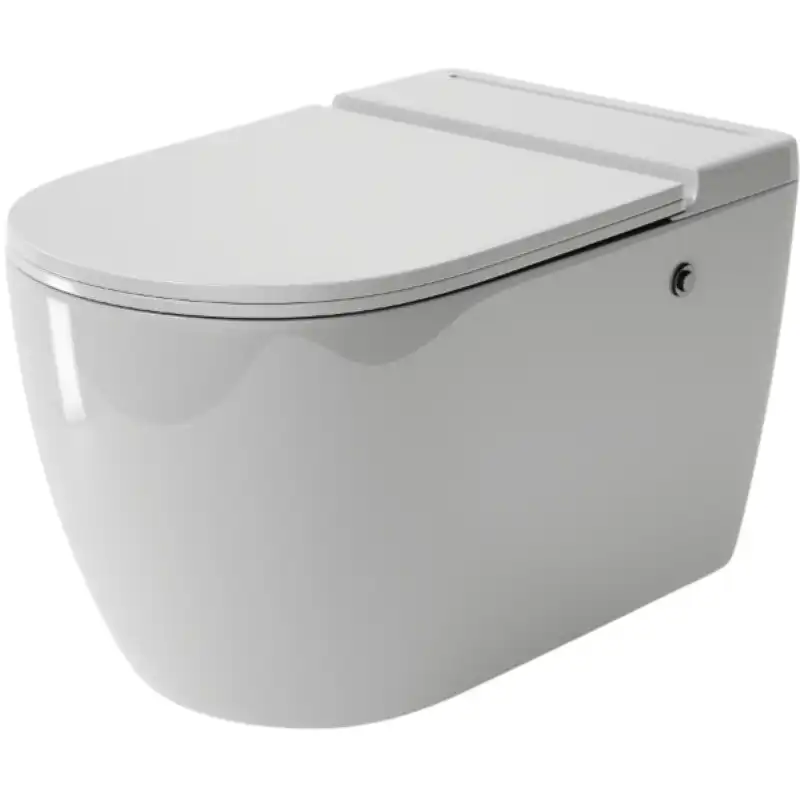 Подвесной унитаз Grossman GR-5502 безободковый, Белый глянцевый фото 1