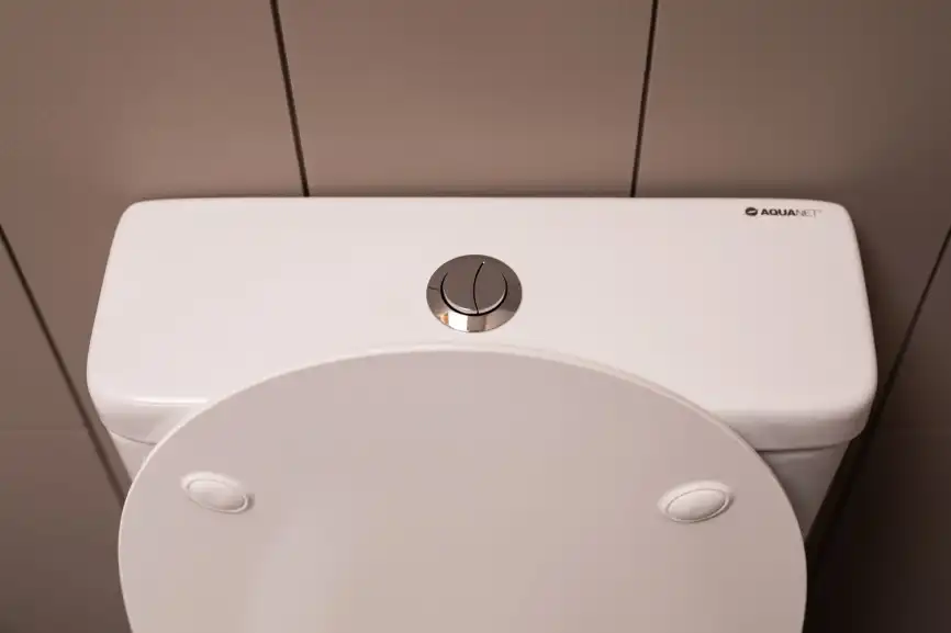 Сливной бачок Aquanet Cetus-C2 BL-102N-TPT фото 13