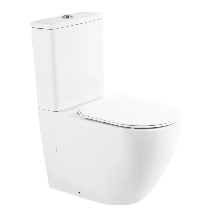 Напольный унитаз BelBagno SFERA-R BB2141CPR, безободковый, Белый фото 1