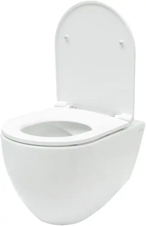 Подвесной безободковый унитаз Allen Brau Reality 4.32006.20 без сиденья, белый глянец фото 3