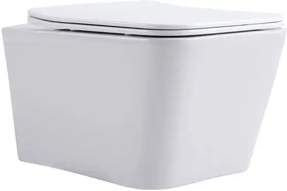 Унитаз подвесной Aquanet Trend Rimless LX-1148, с сиденьем микролифтом фото 5