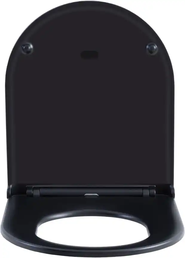 Сиденье для унитаза Aquanet Lake черный матовый фото 7