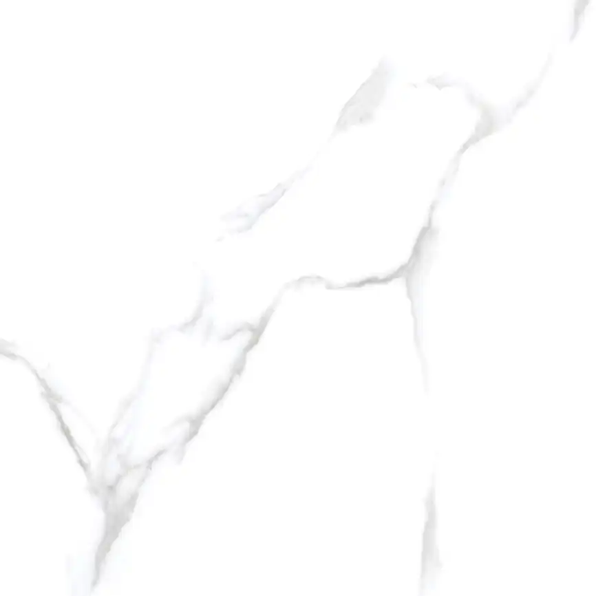 Керамогранит AZARIO DESERT STATUARIO 60x60 Matt (P3211112134M) фото 3