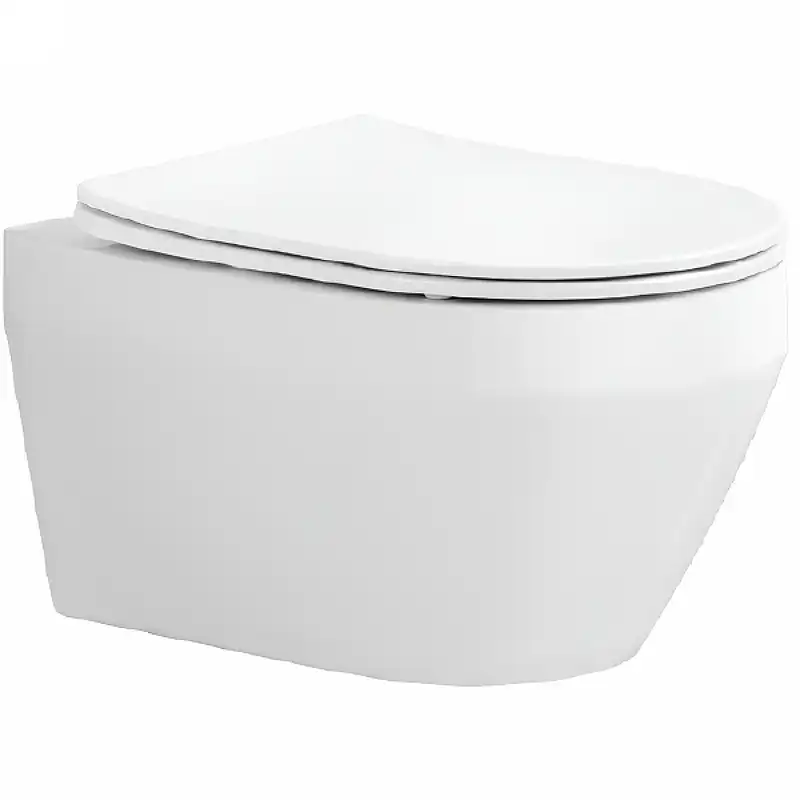 Подвесной унитаз Aquatek Лея AQ1199-00 безободковый, с сиденьем микролифт, Белый фото 1