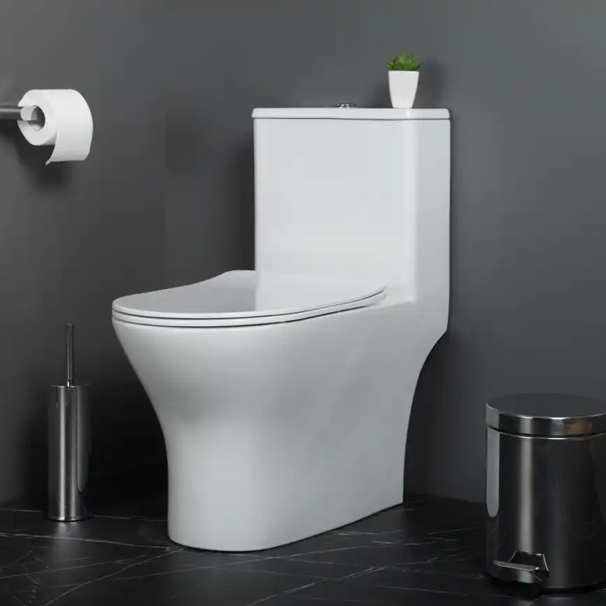 Унитаз-моноблок BelBagno LOUNGE BB8618CPR-MN/SC, безободковый, с сиденьем микролифт, Белый фото 7