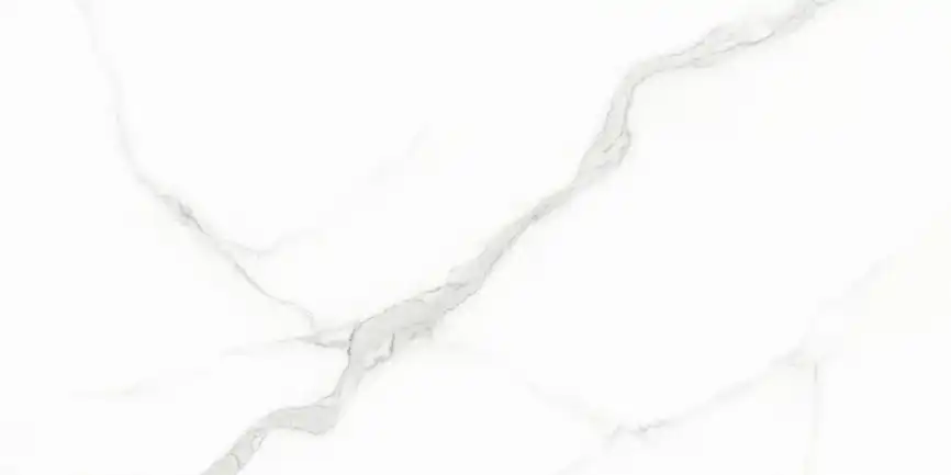 Керамогранит AZARIO WHITE CARARRA 60х120 Glossy (GJT612670) фото 3
