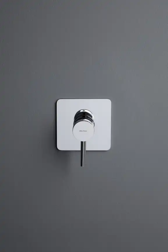 Смеситель для душа Allen Brau Priority 5.31012-00 встраиваемый, с внутренней частью, Хром фото 6