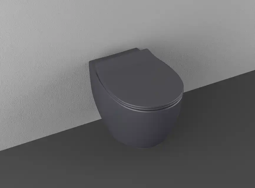 Подвесной безободковый унитаз Allen Brau Fantasy 4.11004.AN без сиденья, антрацит фото 3