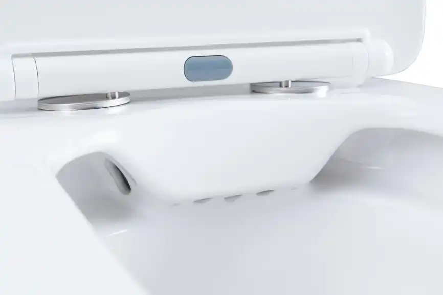 Чаша напольного унитаза Aquanet Fine Rimless FINE-C Soft Close с сиденьем микролифт фото 16