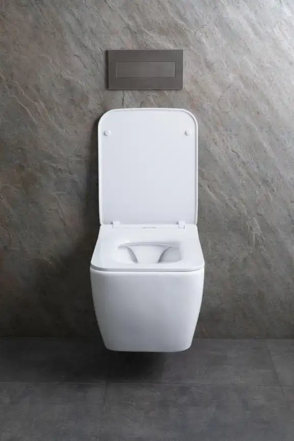 Подвесной унитаз Allen Brau Liberty 4.33007.21 безободковый, цвет белый матовый фото 7