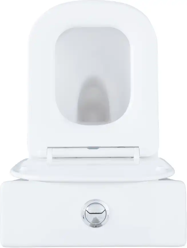 Чаша напольного унитаза Aquanet Fine Rimless FINE-C Soft Close с сиденьем микролифт фото 14