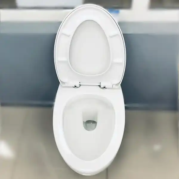 Унитаз подвесной AVS Эллипс 801-0043-P-R-GW безободковый, белый фото 5