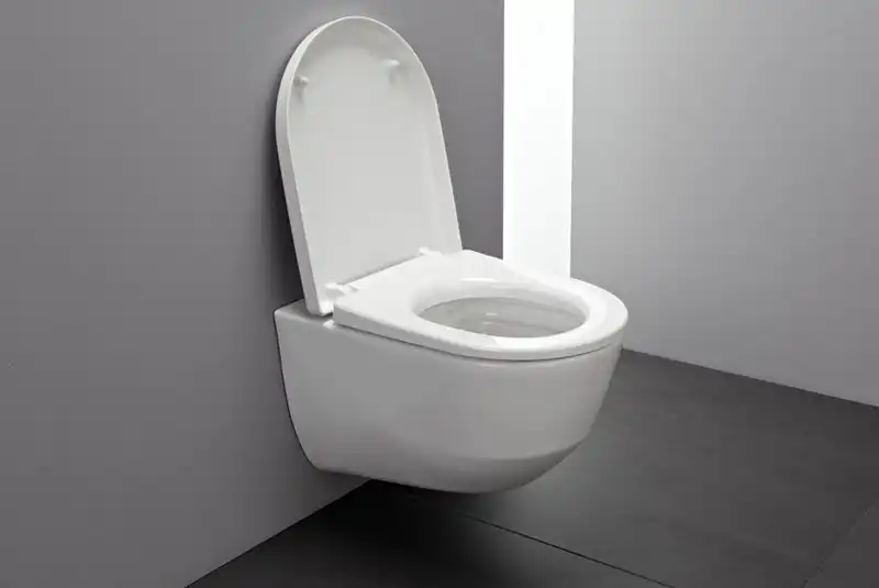 Унитаз подвесной Laufen PRO Rimlless 8.2096.6.000.000.1, безободковый, с тонким сиденьем микролифт фото 3