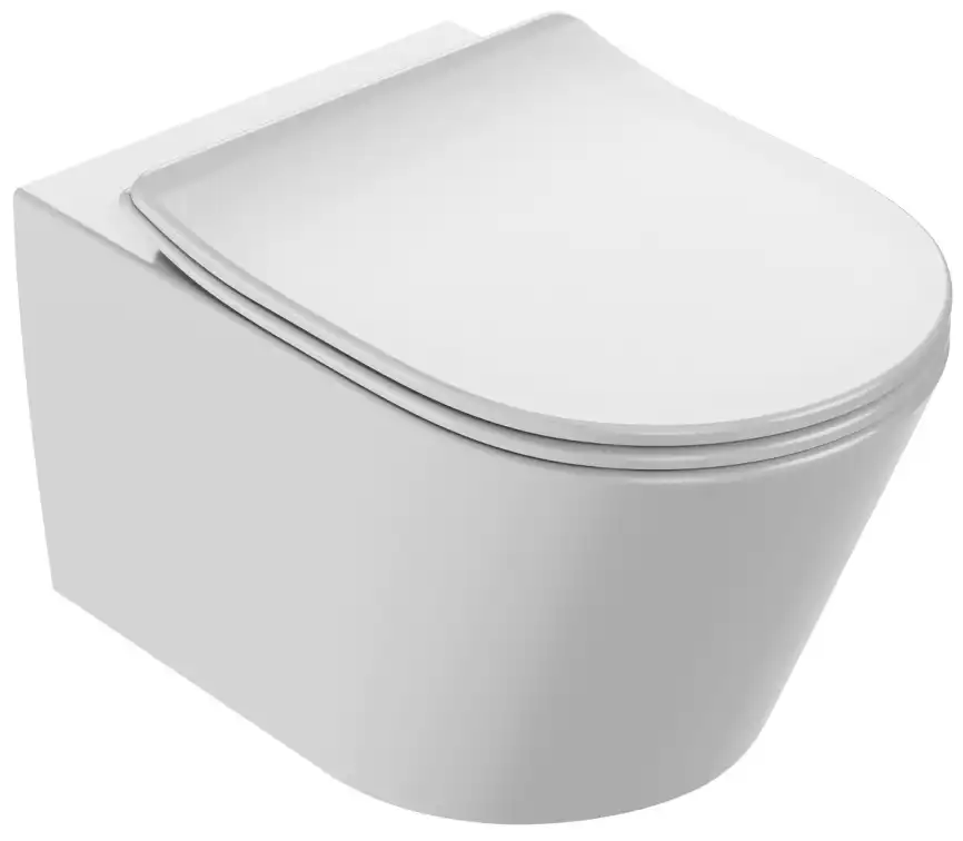 Подвесной унитаз Jacob Delafon Bastille безободковый, EDAB102-00, белый фото 1