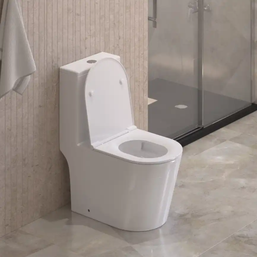 Унитаз-моноблок BelBagno TRE-TOR BB673CP-MN-TOR/SC, безободковый, со смывом Торнадо, с сиденьем микролифт, Белый фото 2