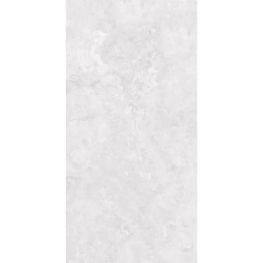 Керамогранит AVS by Italian Design Del Vento Ivory 60x120 Soft Smooth, серый фото 7