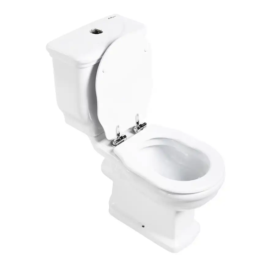 Напольный унитаз BelBagno BOHEME BB115CPR, безободковый, Белый фото 3