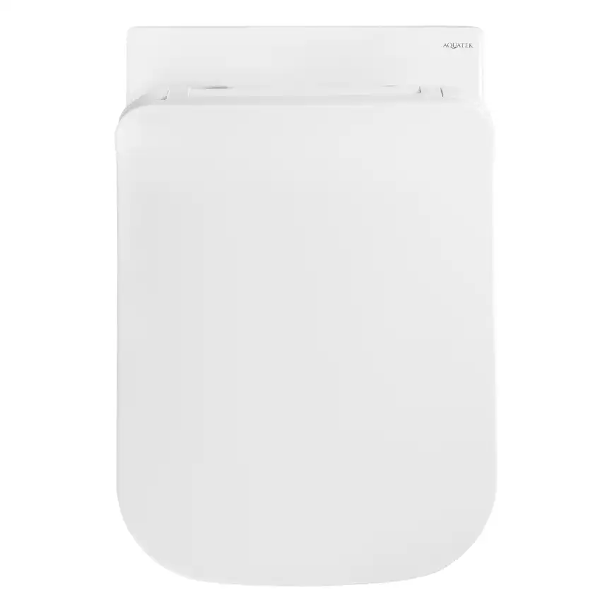 Подвесной унитаз Aquatek Дельта AQ1911-00 безободковый, с сиденьем микролифт, Белый фото 5