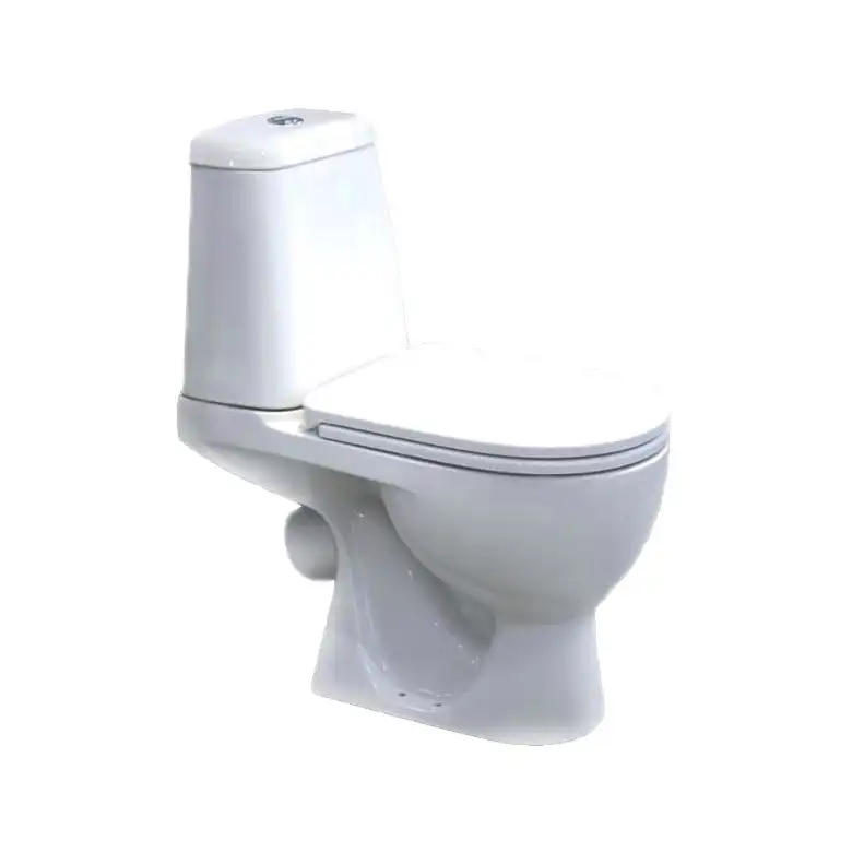 Унитаз-компакт Sanita Luxe MAX SL с быстросъемным сидением микролифт фото 1