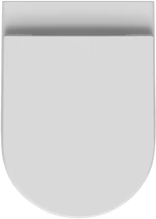 Приставной унитаз Allen Brau Reality 4.32004.20 белый глянец фото 3