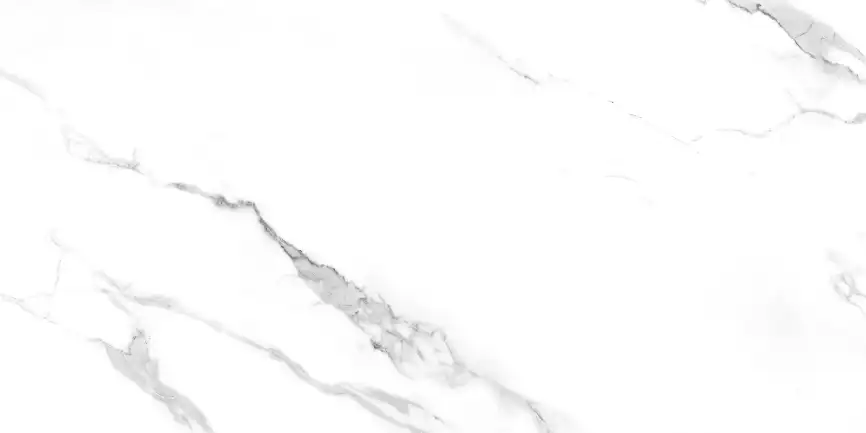 Керамогранит AZARIO JAVIER SATVARIO 60х120 Glossy (F4110821123G) фото 4