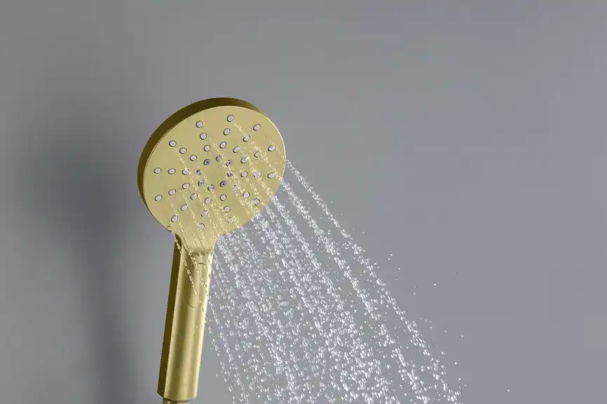 Душевая лейка Aquatek Оберон AQ2006BG, Золото матовое фото 6