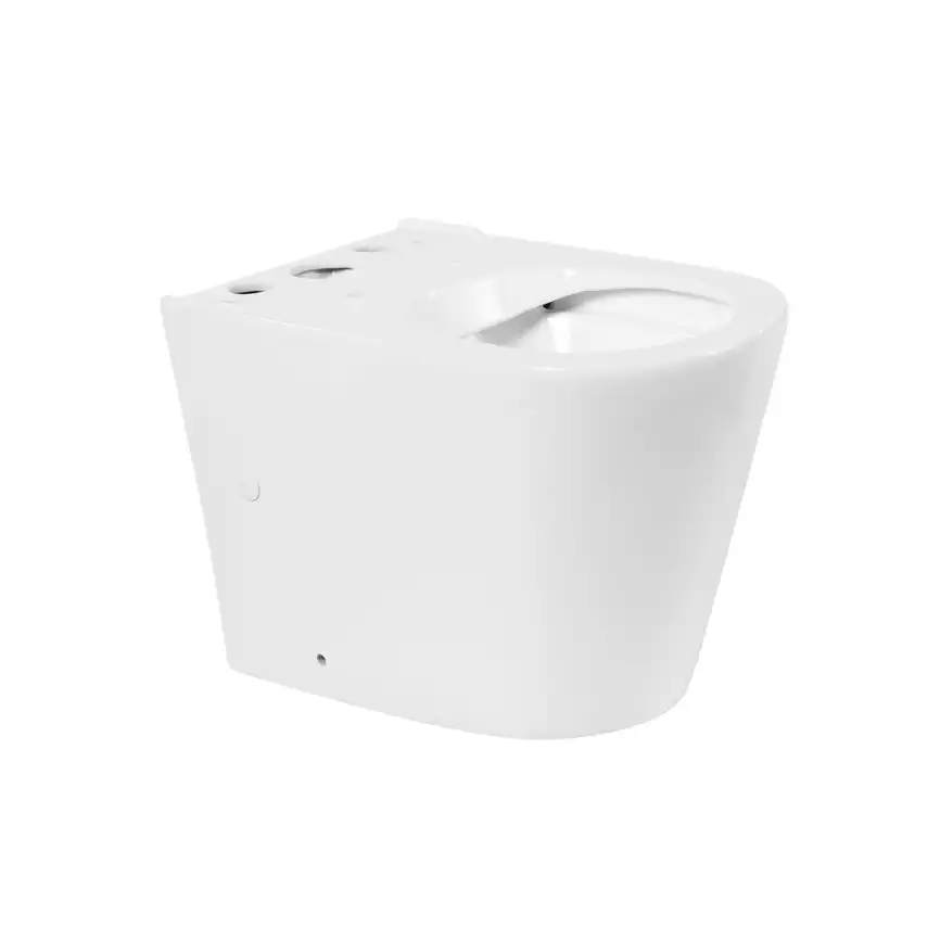 Напольный унитаз BelBagno FLAY-R BB2149CPR, безободковый, Белый фото 3