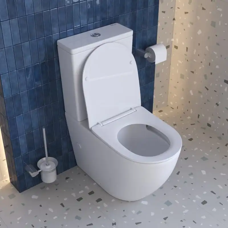 Напольный унитаз BelBagno SFERA-TOR BB2141CP-TOR/SC, безободковый, со смывом фото 5