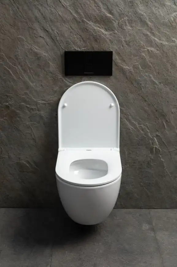 Подвесной унитаз Allen Brau Priority Tornado 4.31009.20 безободковый, цвет белый глянец фото 8