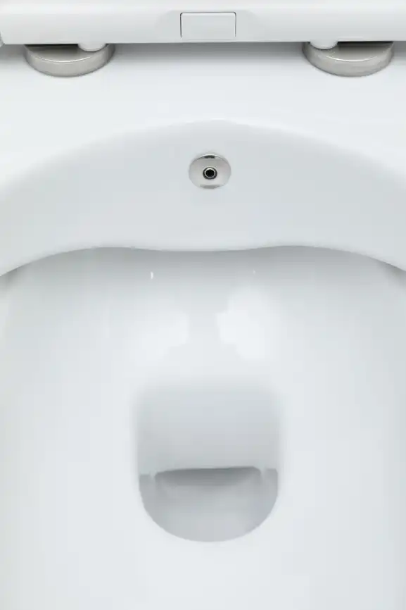 Унитаз подвесной Logan Logan L5W CITY с функцией биде 019100-u-01, белый фото 7