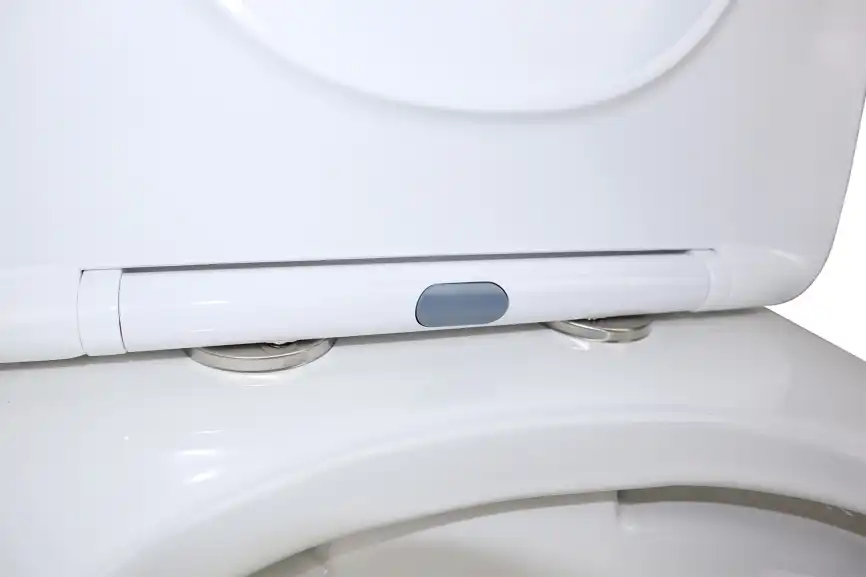 Унитаз-компакт Azario Fresco  AZ-8302 напольный, безободковый, с бачком и сидением микролифт, цвет белый фото 5