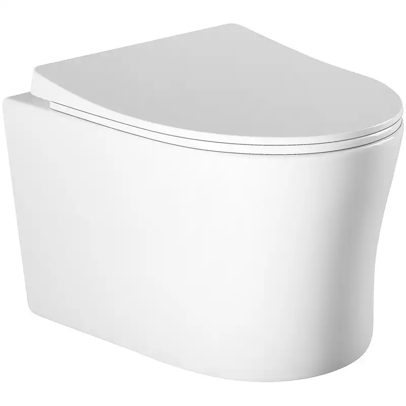 Подвесной унитаз Aquatek Ника AQ2009-00 безободковый, с сиденьем микролифт, Белый фото 1