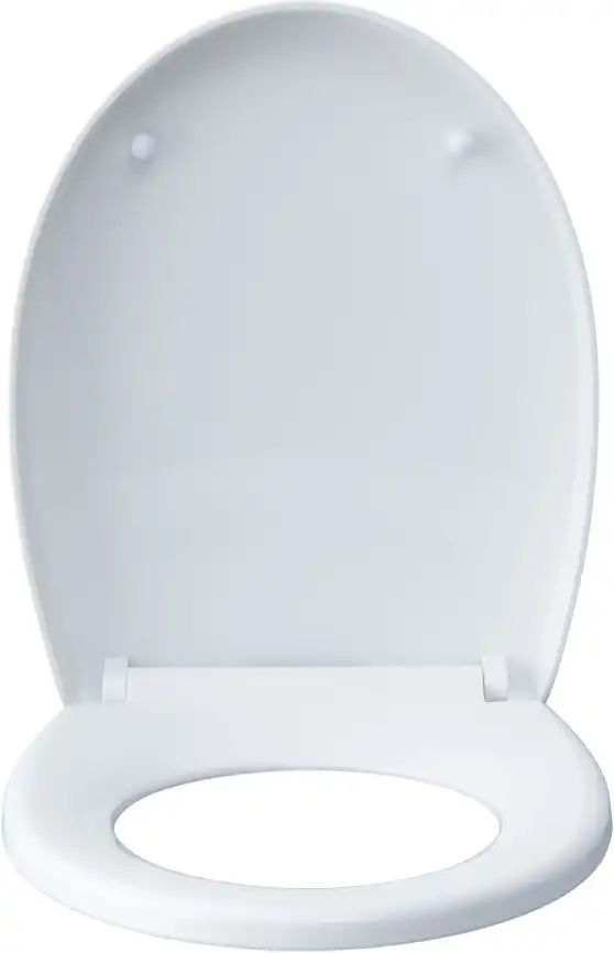 Унитаз подвесной Aquanet ZV-1 с сиденьем микролифт, белый фото 10