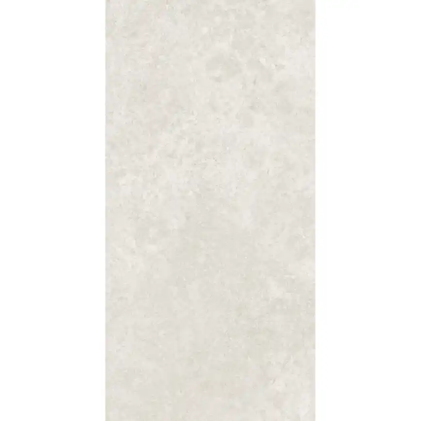 Керамогранит AVS by Italian Design Antica Bianco 60x120 Lappato, серый фото 2